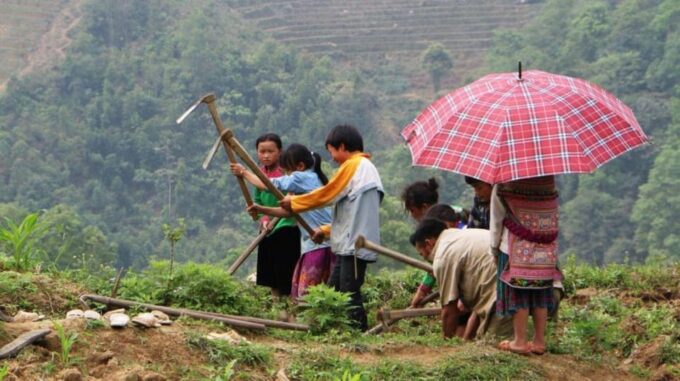 Hanoi: Sapa Trekking 2 Days 1 Night - VIP Bus From Hanoi - Accommodation and Meals