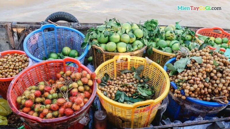 Hanoi: Sapa Trekking Tour With Homestay 2D1N - Tour Overview