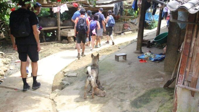 Hanoi to Sapa: 2-Day Trekking Tour With Red Dzao Herbal Bath - Frequently Asked Questions