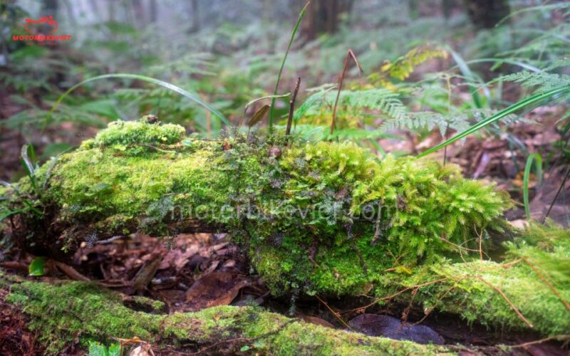 Hanoi Tour: Pu Luong Trekking Tour 3 Days 2 Nights - Itinerary Day 1