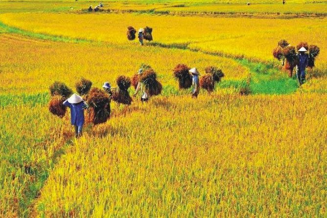 Hanoi Vespa Countryside Tour With Female Ao Dai Riders Half Day - Countryside Exploration