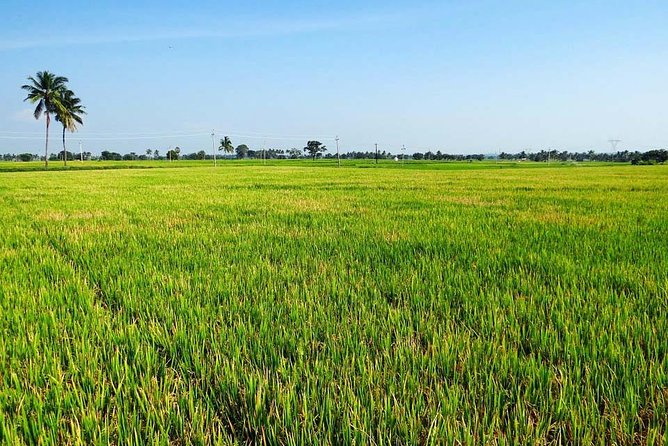 Hanoi Vespa Countryside Tour With Female Ao Dai Riders Half Day - Co Loa Citadel Visit