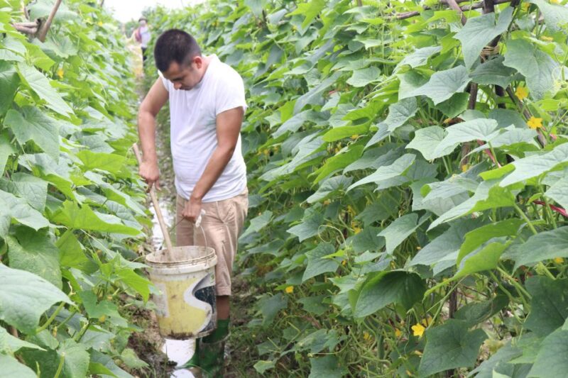 Hanoi: Village Farm Tour and Cooking Class With Lunch - Farming Activities
