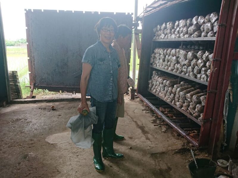 Hanoi: Village Farm Tour and Cooking Class With Lunch - Local Market Exploration
