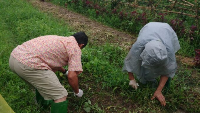 Hanoi: Village Farm Tour and Cooking Class With Lunch - Organic Pig Farm Visit