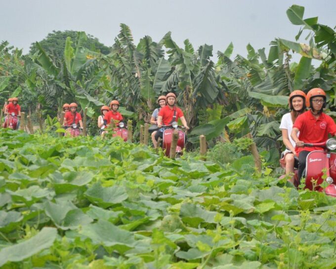 Hanoi Vintage Vespa City Tours - Culinary Delights