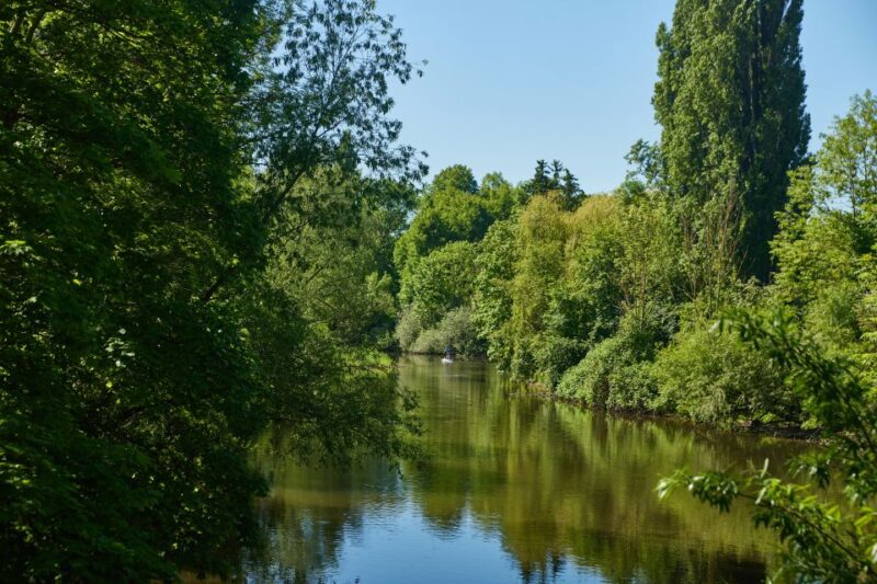 Hanover: Guided Walking Tour of the Linden-Limmer District - Artistic and Cultural Aspects