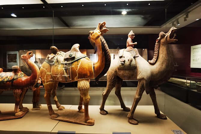 Hanyangling Museum Guide Service Review - Accessibility Considerations