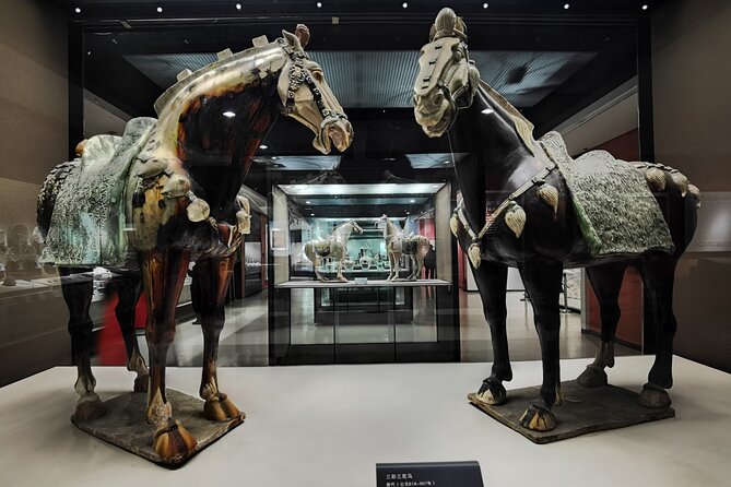 Hanyangling Museum Guide Service Review - Who Should Consider This Tour