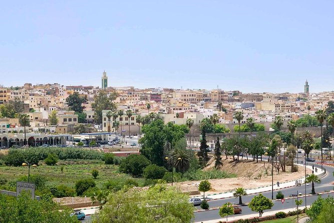 Happy Day Trip of Volubilis and Meknes From Fez - Group Size and Participation