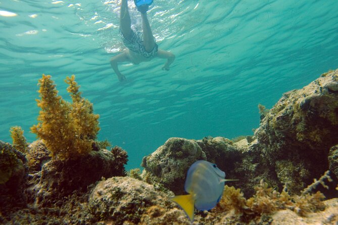 Happy Hour Party Boat With Snorkeling - Activities and Amenities