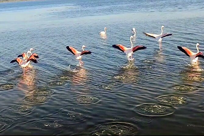 Happy Tour Camargue an Immersion by Bike and Scooter E - Meeting and End Points