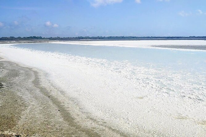 Happy Tour Camargue an Immersion by Bike and Scooter E - Exploring the Captivating Camargue