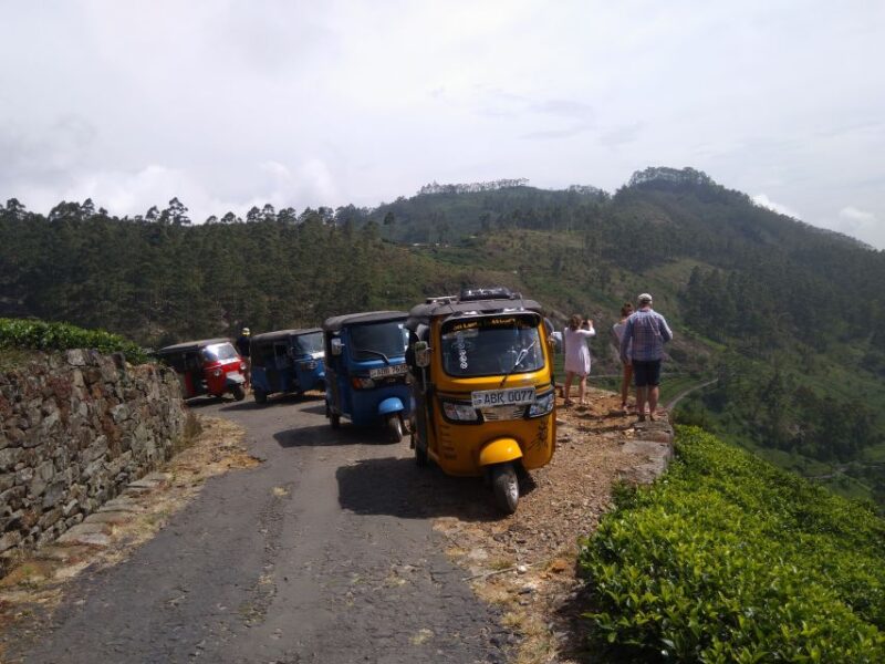 Haputale: Ella, Small Adams Peak, & Nine Arches Bridge Hike - Key Points
