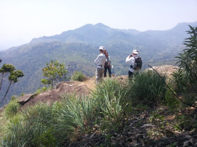 Haputale: Ella, Small Adams Peak, & Nine Arches Bridge Hike - Group Size and Language