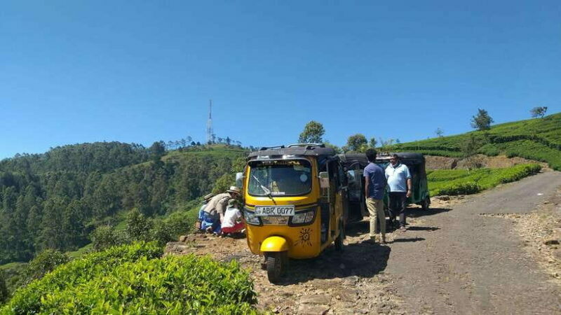 Haputale:Glorious Tuk Tuk Ride to Lipton'sSeat & Tea Factory - FAQ