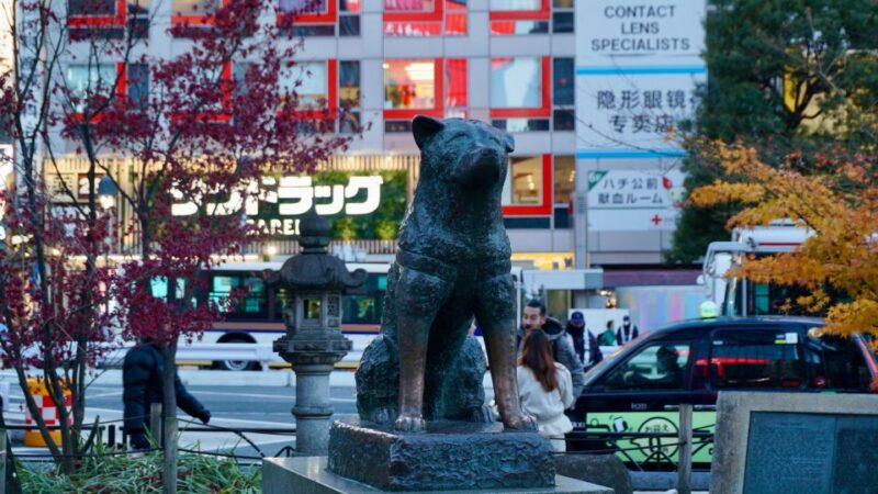 Harajuku From Meiji Shrine to Shibuya Crossing 2 Hours - Meiji Jingu Shrine Exploration