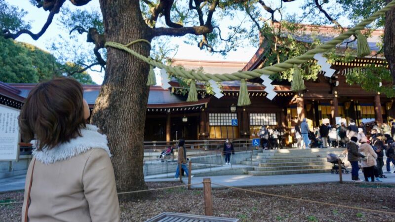 Harajuku From Meiji Shrine to Shibuya Crossing 2 Hours - Takeshita Street Stroll