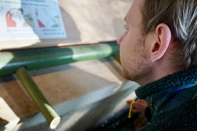 Harajuku Meiji Shrine 1 Hour Explanation Tour - Tour Accessibility