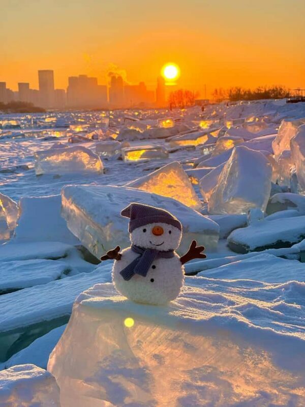 Harbin: Local Markets, Central Street, & Flexible Itinerary - Practical Details & What to Expect