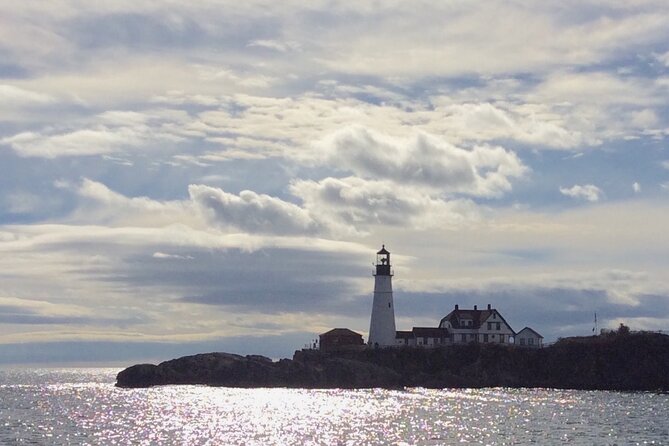 Harbor Lights and Sights Cruise - Scenic Views and Wildlife