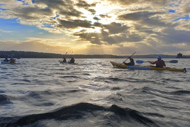 Harbour Bridge Breakfast Paddle - Tour Highlights