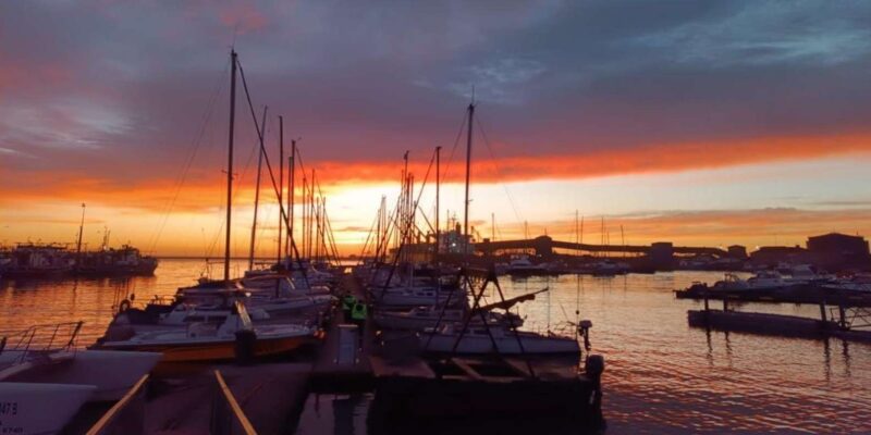 HARBOUR CRUISE (EDUCATIONAL) - Key Points