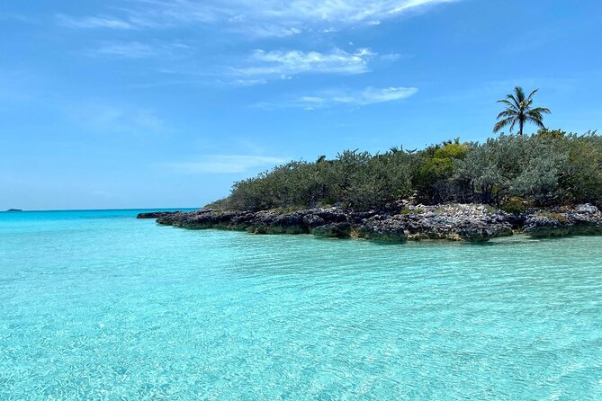 Harbour Island Swimming Pigs and Beaches Boat Tour With Lunch - Exploring Pink Sand Beaches