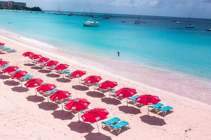 Harbour Lights - Chair & Turtle & Shipwreck Snorkel Tour - Tour Overview and Features