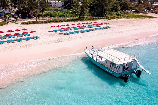 Harbour Lights - Chair & Turtle & Shipwreck Snorkel Tour - Operational Details