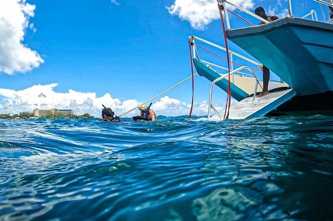 Harbour Lights - Chair & Turtle & Shipwreck Snorkel Tour - Beach Amenities and Services