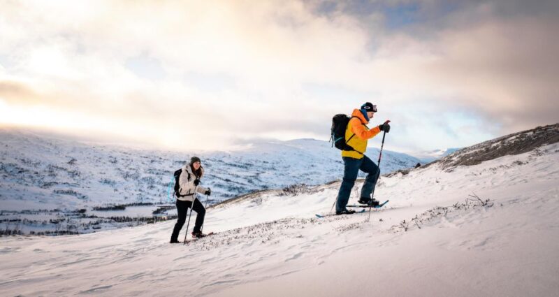 Hardangerfjord: Exclusive Snowshoe Hike With Majestic Views - Inclusions