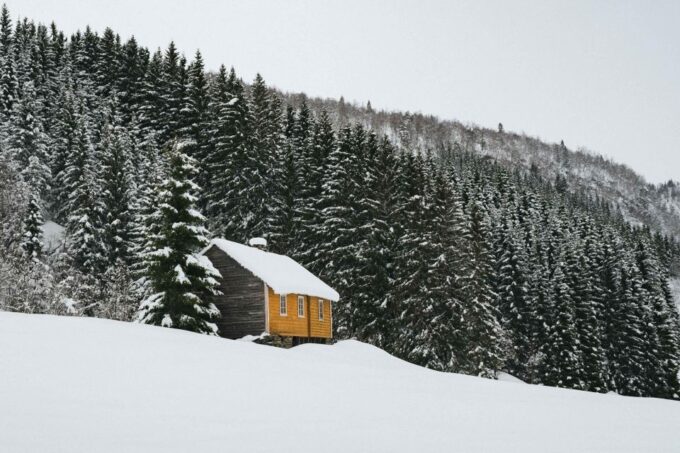 Hardangerfjord: Exclusive Snowshoe Hike With Majestic Views - Recap