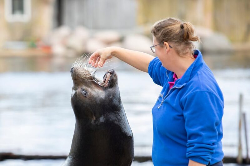 Harderwijk: Dolfinarium Entry Ticket - Customer Reviews