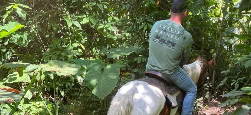 Harmony Horse Riding of Miami - Exceptional Horseback Riding Experiences