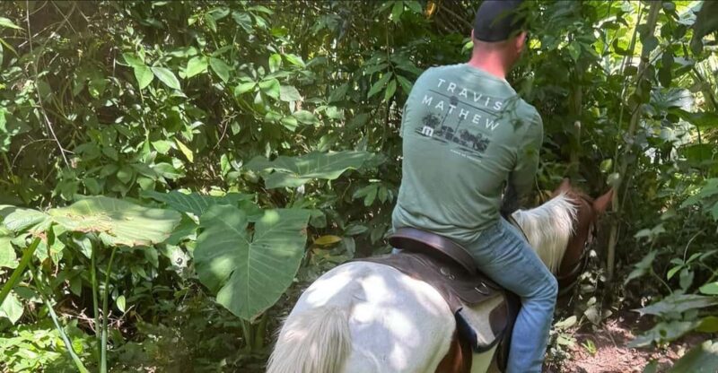 Harmony Horse Riding of Miami - Guided Tour Details