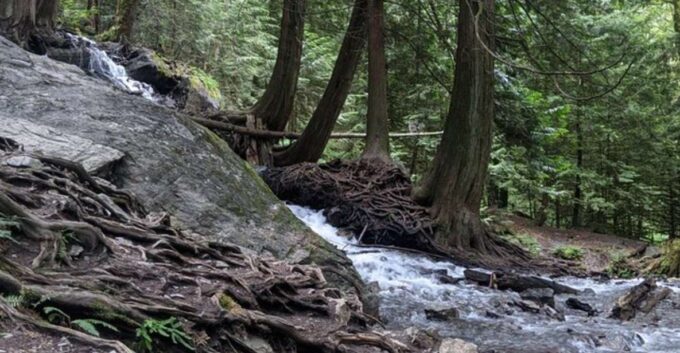 Harrison Day Trip | Harrison Hot Springs Private - Frequently Asked Questions