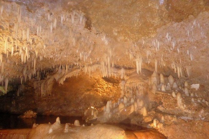 Harrisons Cave and Mount Gay Rum Tour - Tour Overview