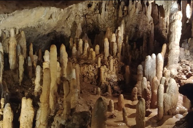Harrisons Cave and Mount Gay Rum Tour - Explore Barbados Gems