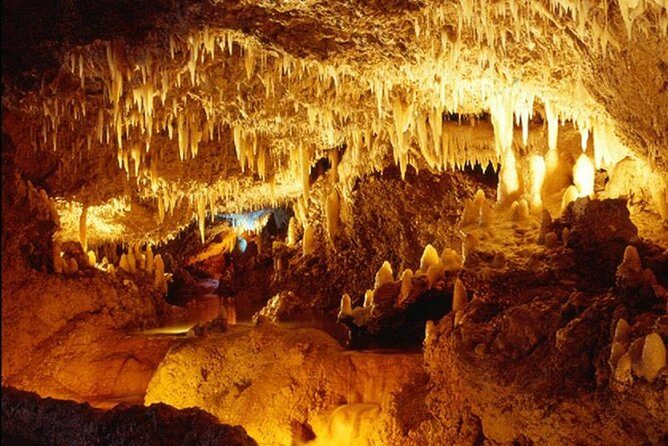 Harrison's Cave Tour from Bridgetown - Key Points