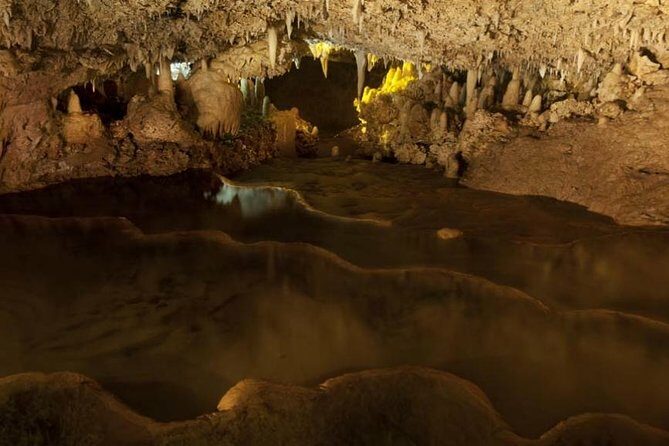 Harrison's Cave Tour from Bridgetown - Final Thoughts: The Value of the Harrison’s Cave Tour