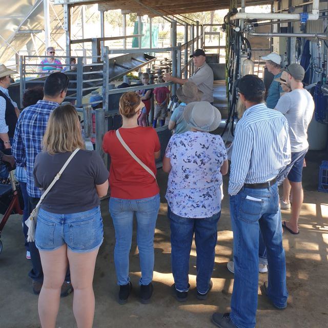 Harrisville: Summer Land Camel Farm Tour With Tasting - Experience Highlights