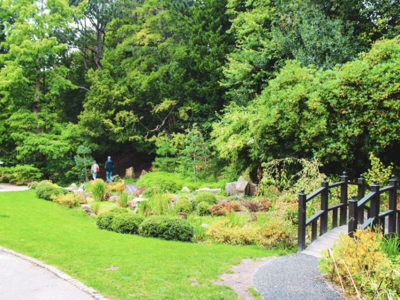 Harrogate: Exploration Game With Pubs & Cafes - Uncover Unique Sights