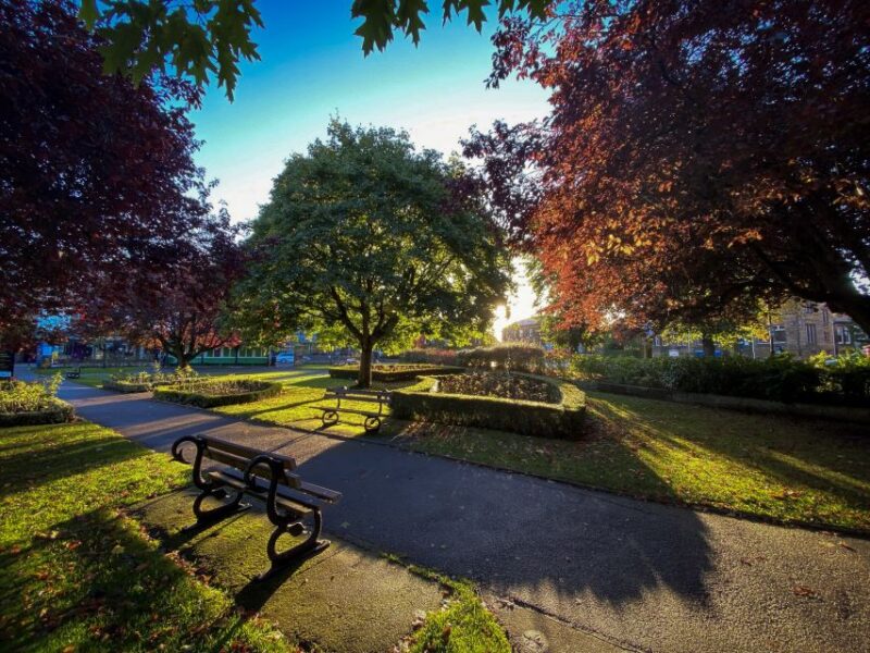 Harrogate: Exploration Game With Pubs & Cafes - Team Collaboration and Exploration