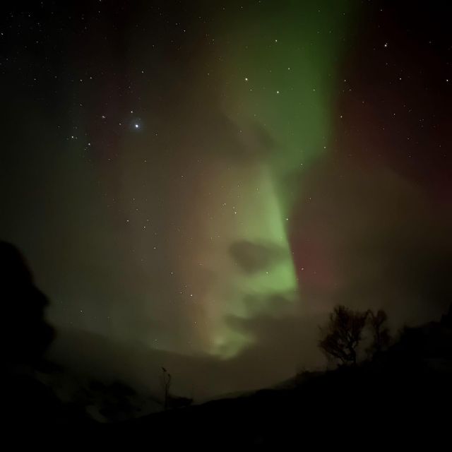 Harstad/Narvik/Tjeldsund: Northern Lights Sightseeing by Car - Pickup and Locations