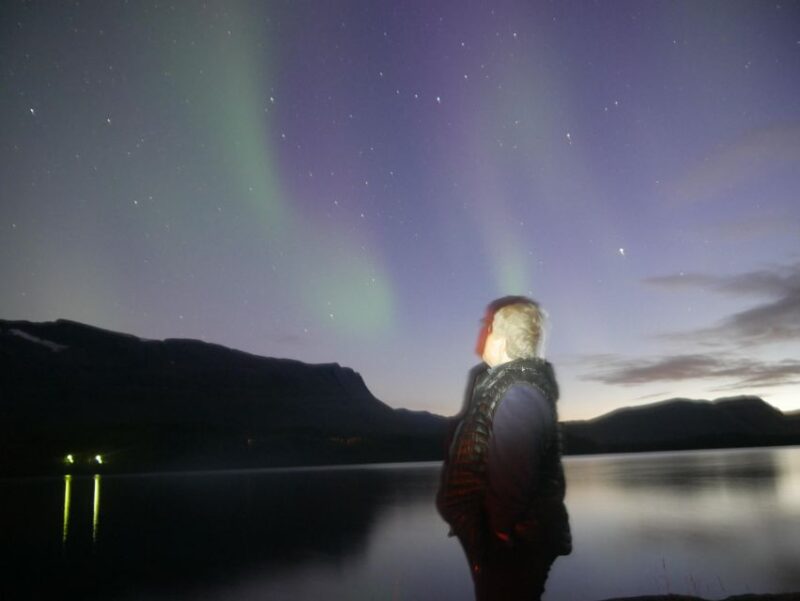 Harstad/Narvik/Tjeldsund: Northern Lights Sightseeing by Car - Inclusions