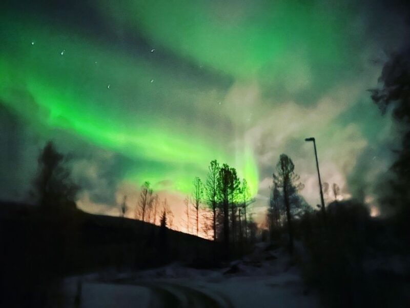 Harstad/Narvik/Tjeldsund: Northern Lights Sightseeing by Car - Customer Feedback