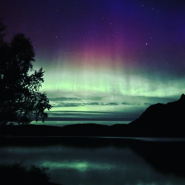 Harstad/Narvik/Tjeldsund: Northern Lights Sightseeing by Car - Northern Lights Sighting Guarantee