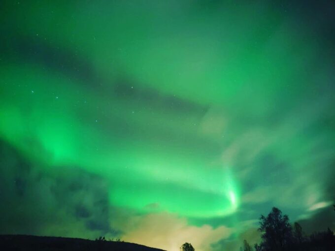 Harstad/Narvik/Tjeldsund: Northern Lights Sightseeing by Car - Booking and Reservation Details