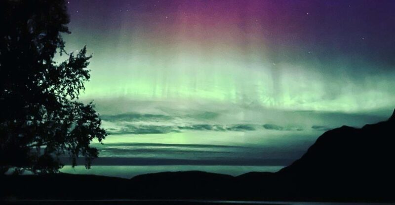 Harstad/Narvik/Tjeldsund: Northern Lights Sightseeing by Car - Inclusions in the Tour